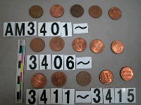 藏品(美國1分硬幣)的圖片